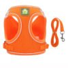 Dog Harness Pet Supplies