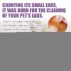 Pet Ear Cleaner, Cats And Dogs Relieves Ear Canal Odors Cleaning Earwax Ear Wash Drops