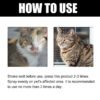 28E315FB3A9E96FDF4D838E8C91132D8.jpg Cat Ringworm Spray, Pet Cats Anti-Mite Cat Moss Care Skin External Use Anti-Itch Spray