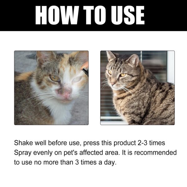 28E315FB3A9E96FDF4D838E8C91132D8.jpg Cat Ringworm Spray, Pet Cats Anti-Mite Cat Moss Care Skin External Use Anti-Itch Spray