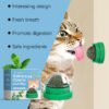 32C2509D884D6B903531F1A8517FC35F.jpg Mint-Flavored Rotating Cat Ball Toy Chew Toy Tooth Cleaning Care Rotating Mint Ball