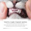 Cat And Dog Tooth Wipes, Pet Tooth Cleaning Tartar Clean Repair Fresh Care Fingercover