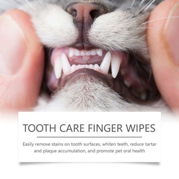 Cat And Dog Tooth Wipes, Pet Tooth Cleaning Tartar Clean Repair Fresh Care Fingercover
