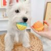 Dog Toy Training Teeth Grinding Ball Speaking Toothbrush Dog Outdoor Interaction