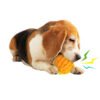 Dog Toy Training Teeth Grinding Ball Speaking Toothbrush Dog Outdoor Interaction