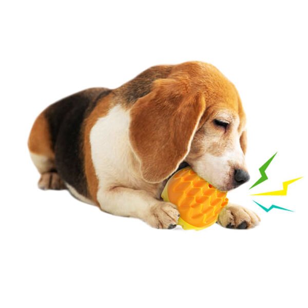 Dog Toy Training Teeth Grinding Ball Speaking Toothbrush Dog Outdoor Interaction