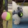 Pet tennis rack tennis set toy ball stand portable hands-free dog walking supplies training ball cover