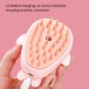 3-in-1 Rechargeable Pet Steam Brush