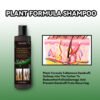 Tinea Capitis Anti-Itch Shampoo Anti-Drop Refreshing Oil Control Hair Care Anti-Dandruff Anti-Itch Shampoo