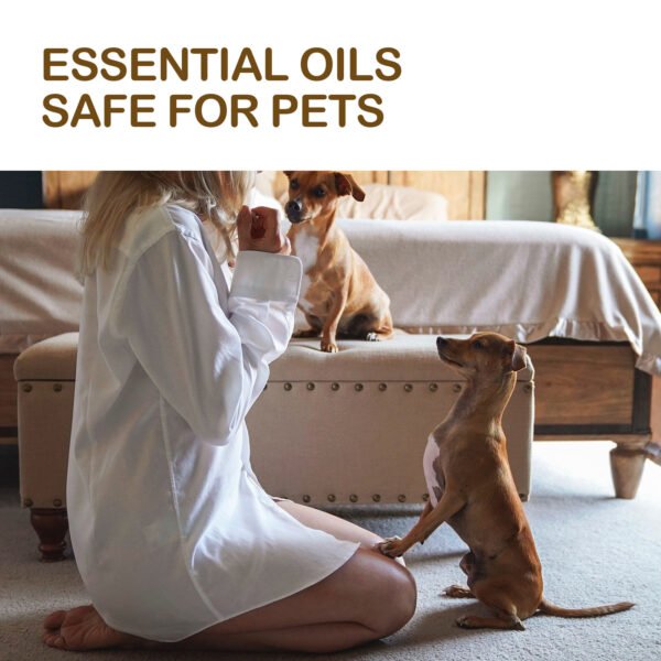 Pet Care Oil, Relieve The Pain Of Pet Bones And Joints Body Muscle Care Essential Oil
