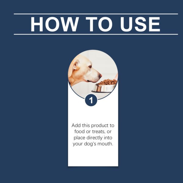 Food Supplement For Dogs, Immune-Boosting Healthy Dietary Supplement For Dogs