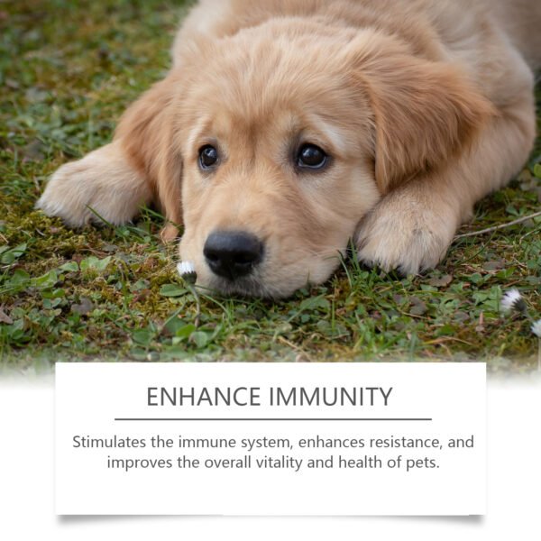 Food Supplement For Dogs, Immune-Boosting Healthy Dietary Supplement For Dogs