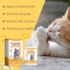 Cat Care With Multi-Dimensional Fish Oil Tablets Cat Care Vitamin Moisturizing Skin Fish Oil Care Tablets
