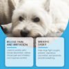 Dog Syrup, Pet Dogs Absorb Nutrition Care Health Special Maintenance Supplement Syrup