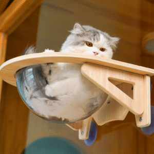 Solid wood spacecraft cat nest cat hammock hanging suction cup climbing frame balcony