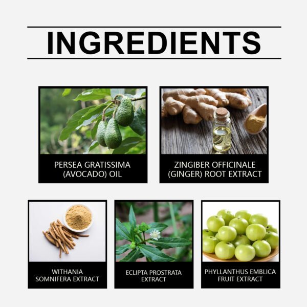 Herbal Hair Care Essential Oil Repair Dry, Hydrating, Smooth And Improve Frizzy Hair Care Essence