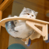 Solid wood spacecraft cat nest cat hammock hanging suction cup climbing frame balcony