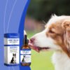 Pet Dog Joint Supplement To Enhance Nutrition Care Joint Health Pet Joint Care Agent