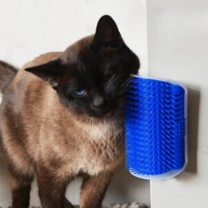 FEF4C01A84C78871978643DAA94731E7.jpg New four-color wall corner brush with free cat mint powder skin friendly cat massager cat comb