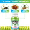 Organic Sea Moss Bladderwrack Gummies