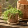 Vintage Checkered Cement Flower Planter