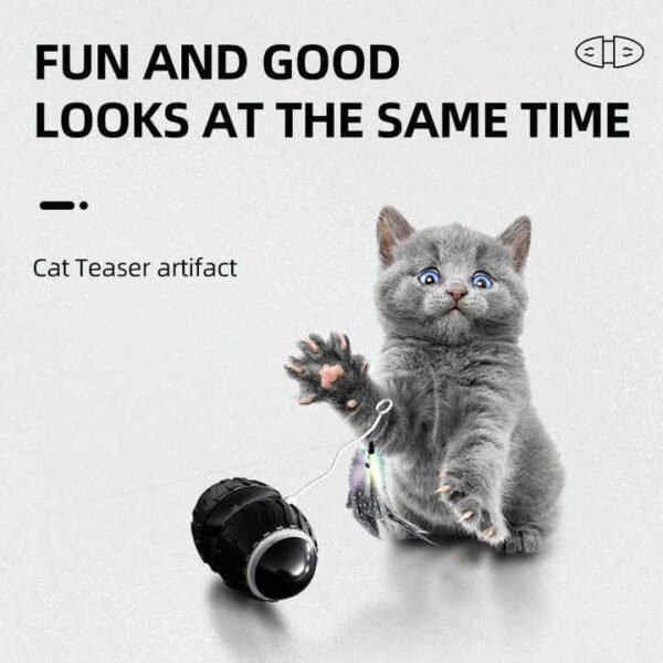Hb414d7d7771c408f97f410509e80b98ff.jpg_720x720q50.jpg Rechargeable Electric Interactive Cat Ball