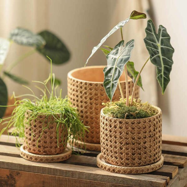 Vintage Checkered Cement Flower Planter