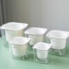 Transparent Self-Watering Resin Planter