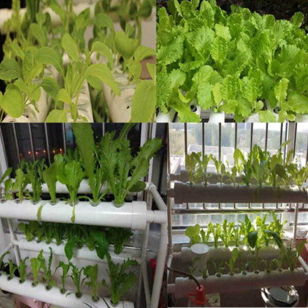 Hydroponic Plastic Fixing Basket