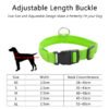 USB Charging Led Dog Collar Anti-Lost Luminous Flashing