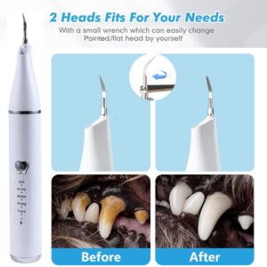 Pet Real Ultrasonic Dental Cleaner Household Usb Charging With LED Light Cats And Dogs Clean Oral Cavity To Calculi