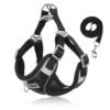 Summer Breathable Dog Harness Leash