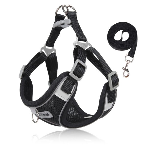 Summer Breathable Dog Harness Leash